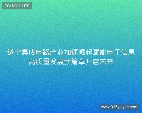 遂宁集成电路产业加速崛起赋能电子信息高质量发展新篇章开启未来